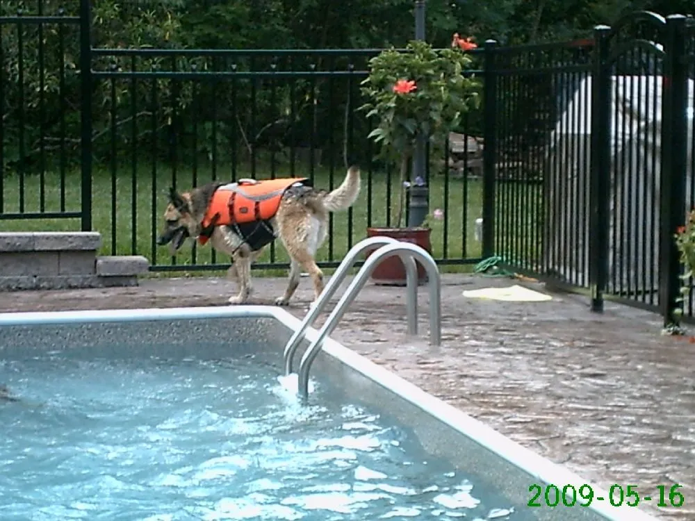 Local lawn care service for homes across Moscow, PA - Designer Pool Company