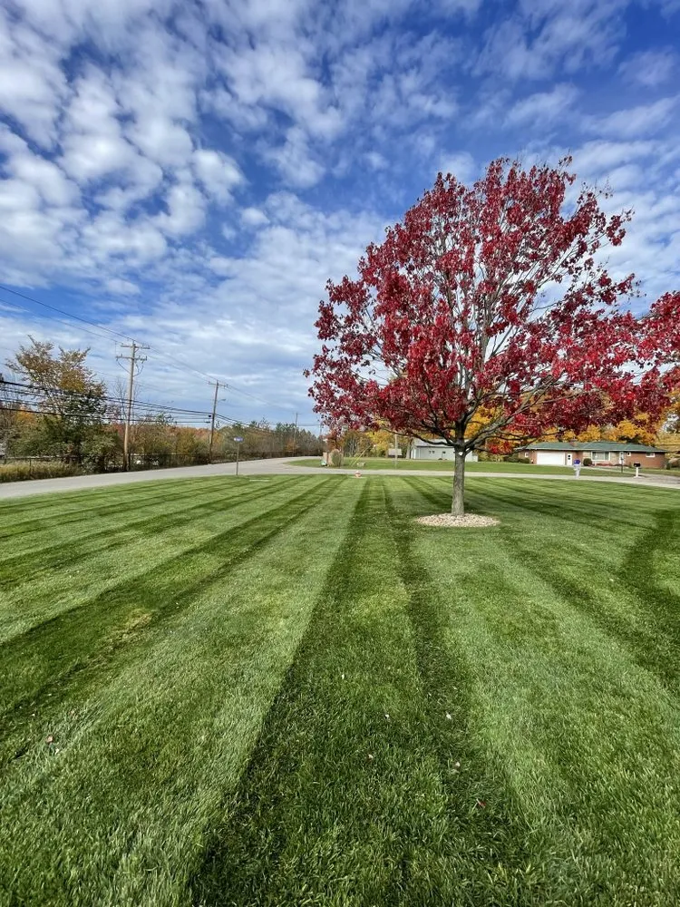 Professional landscape design for residential properties in Kent, OH by Designers Edge