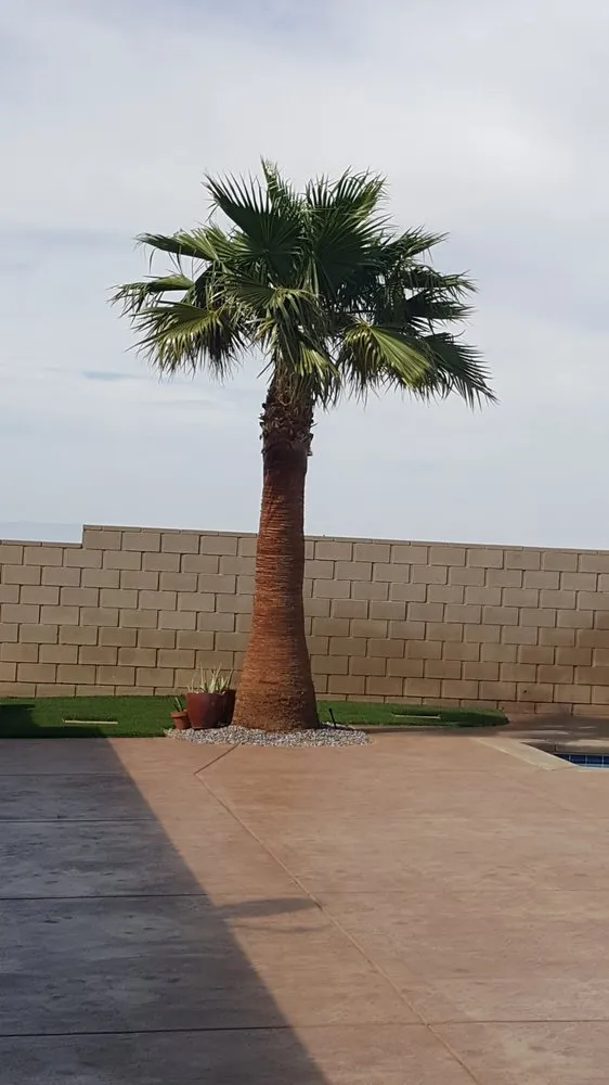 Reliable lawn care service in Quartz Hill, CA - Designer's Touch Landscape