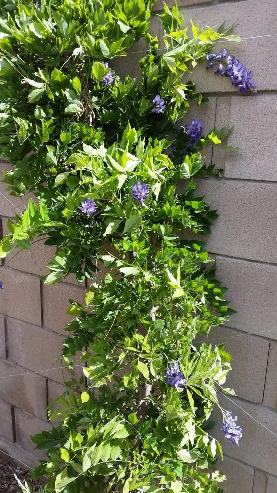 Trusted landscape installation near you across Quartz Hill, CA - Designer's Touch Landscape