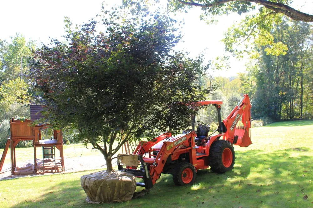 Local residential landscaping for year-round maintenance across New Milford, CT - Designing Eden