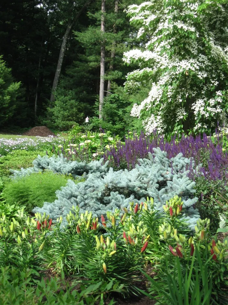 Trusted lawn mowing service for year-round maintenance in New Milford, CT by Designing Eden