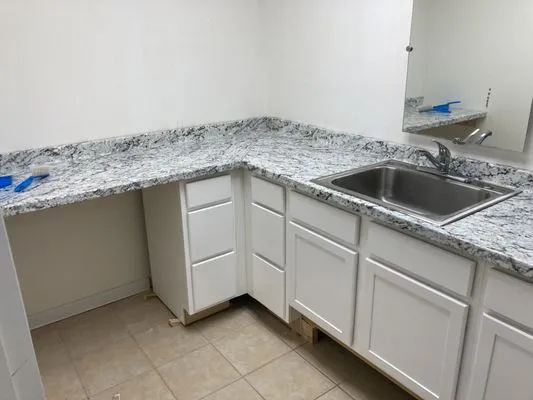 Designing Florida Lifestyles Logo