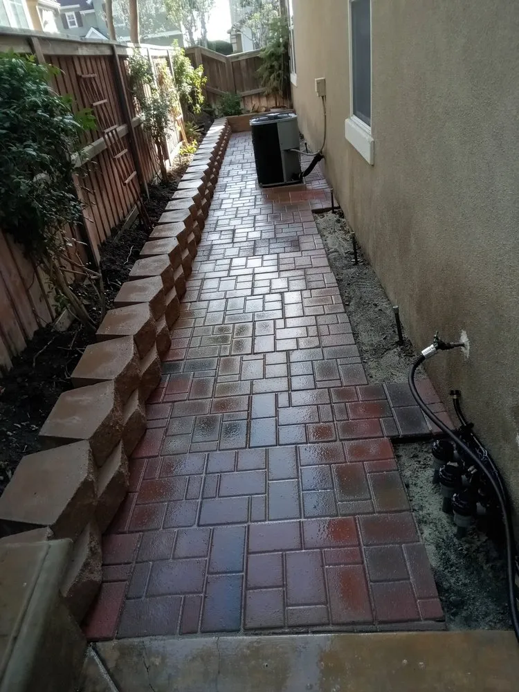 Professional yard cleanup service for year-round maintenance across Lake Forest, CA - Designs And Color Painting And Landscape Services