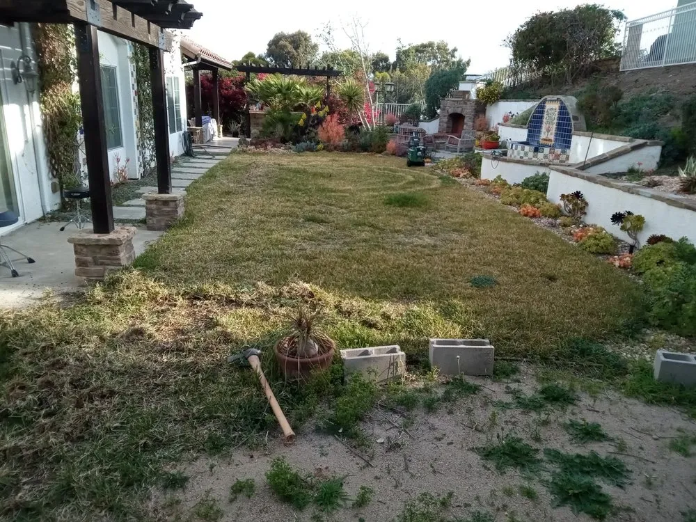 Custom yard maintenance for residential properties in Lake Forest, CA by Designs And Color Painting And Landscape Services