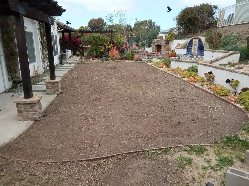 Trusted yard cleanup service experts serving Lake Forest, CA - Designs And Color Painting And Landscape Services