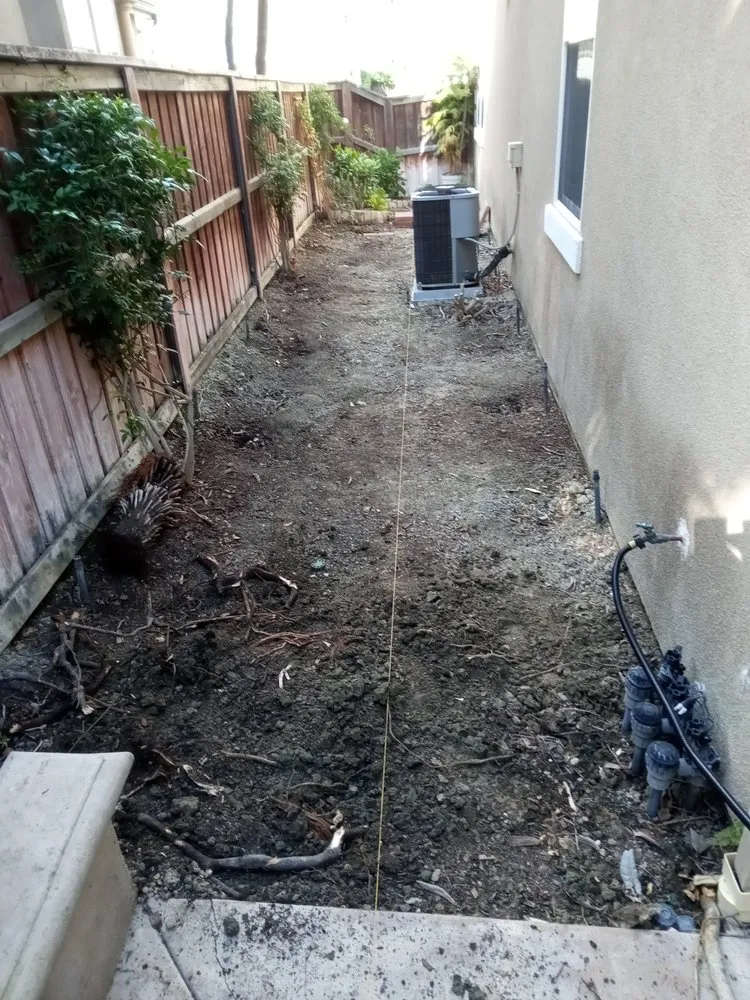 Reliable landscaping services in Lake Forest, CA - Designs And Color Painting And Landscape Services