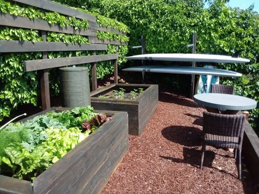 Designs And Color Painting And Landscape Services Logo