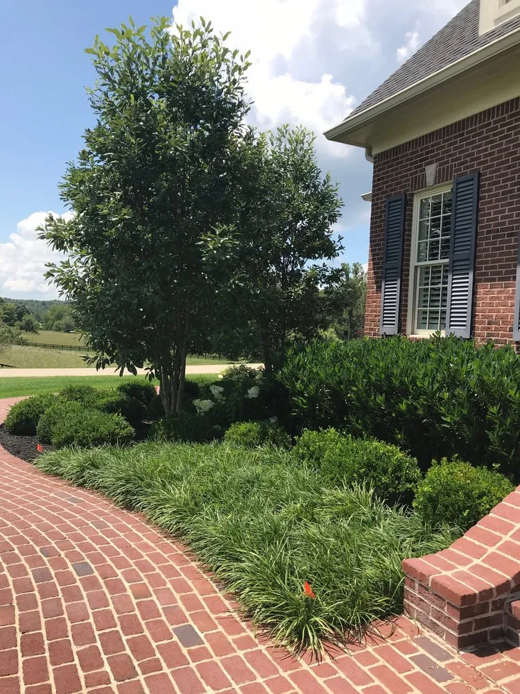 Reliable outdoor landscaping in Nicholasville, KY by Designs by Denise