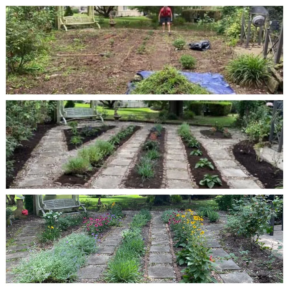 Top-rated landscape installation for beautiful yards in Nicholasville, KY by Designs by Denise