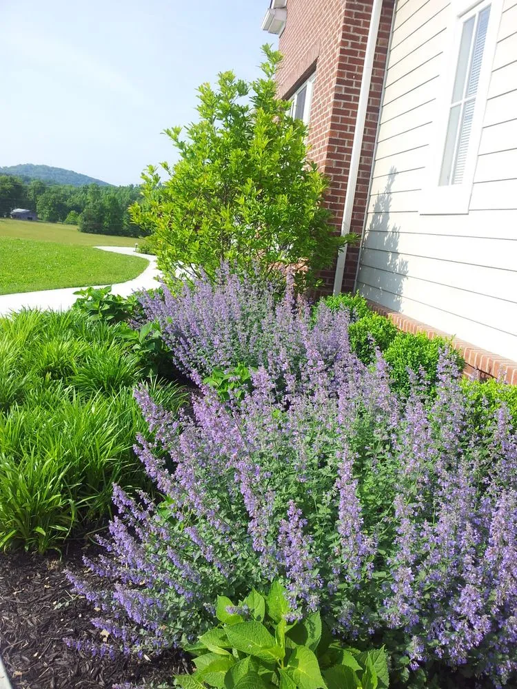 Local garden landscaping in Nicholasville, KY by Designs by Denise