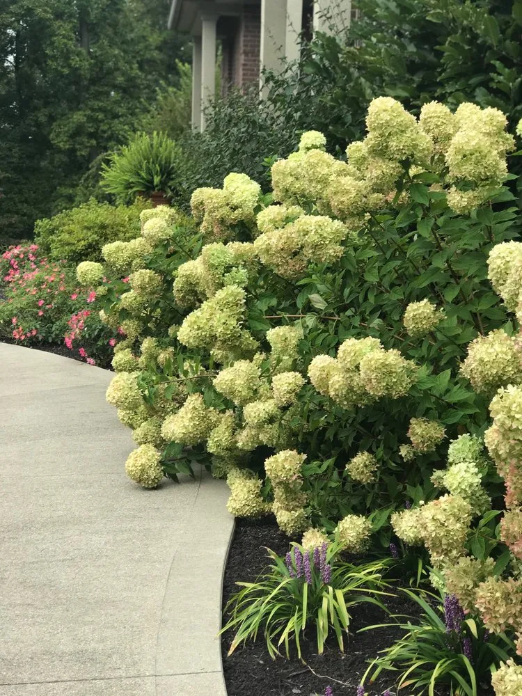 Expert garden landscaping near you in Nicholasville, KY by Designs by Denise