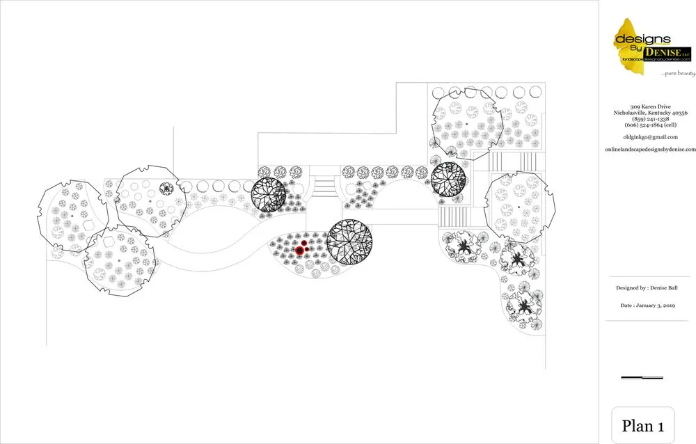 Trusted lawn mowing service experts serving Nicholasville, KY - Designs by Denise