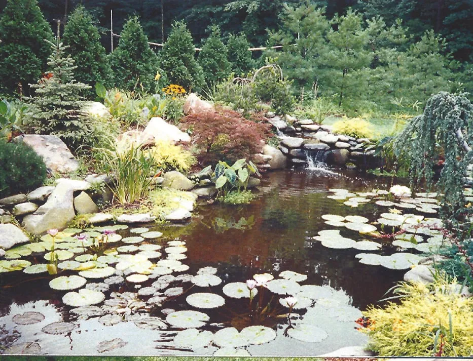 Trusted landscape design experts serving Hackensack, NJ - Designs by Evergreen