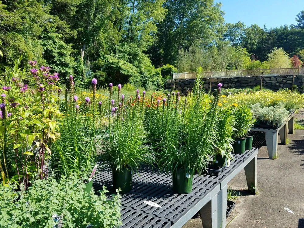 Professional garden landscaping in Stamford, CT - Designs By Lee