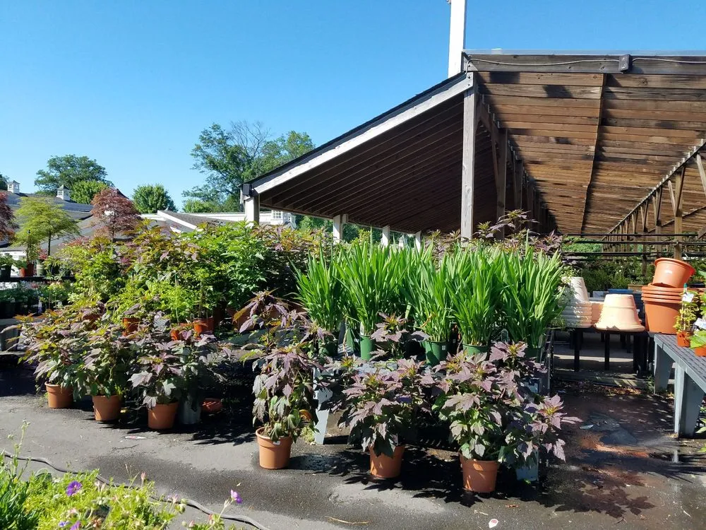 Custom yard cleanup service in Stamford, CT - Designs By Lee