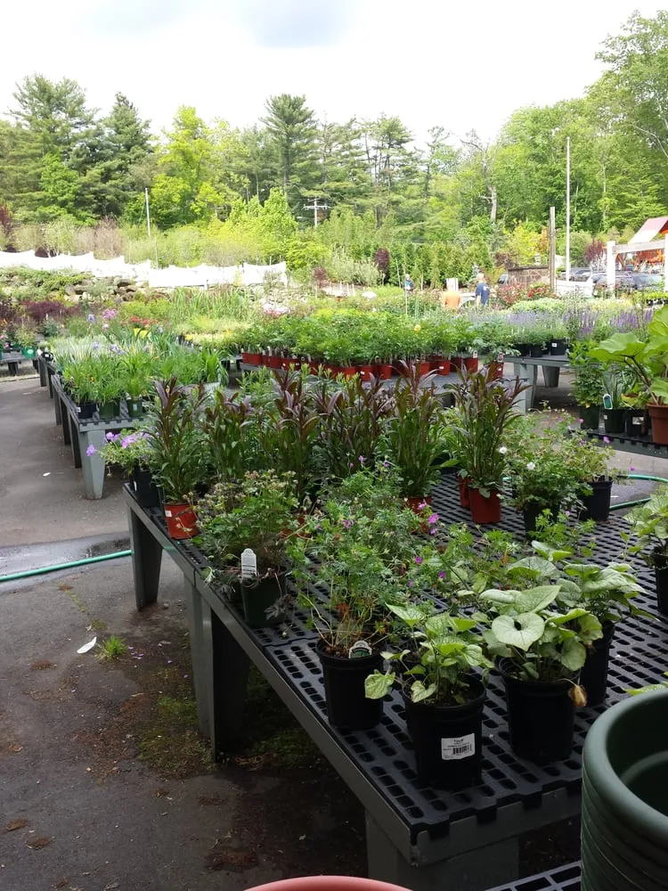 Reliable residential landscaping near you in Stamford, CT by Designs By Lee