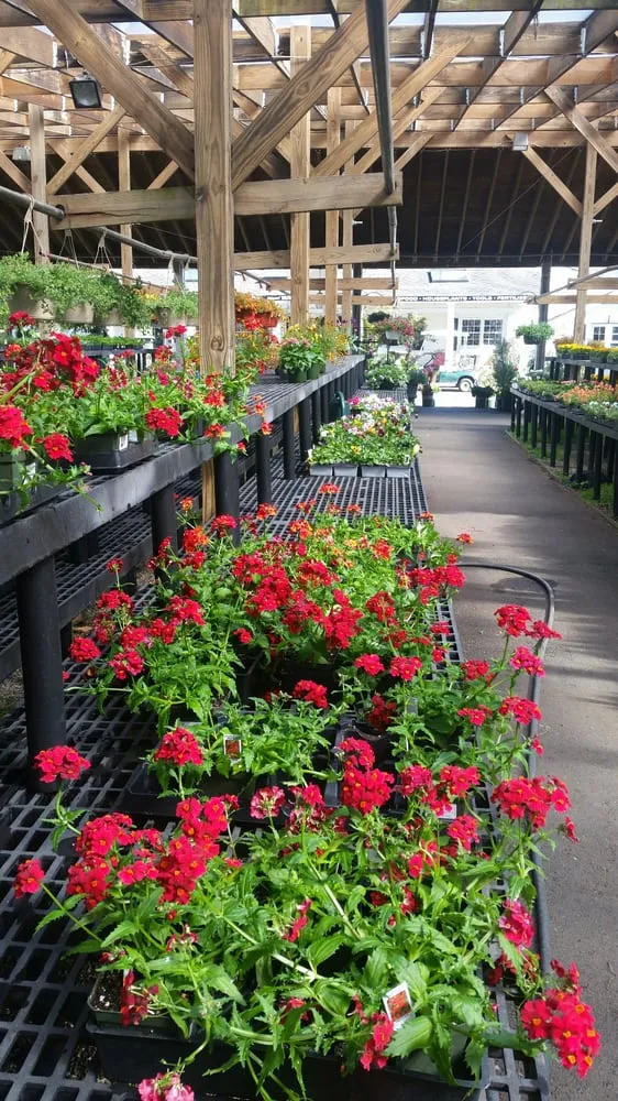 Reliable residential landscaping experts serving Stamford, CT - Designs By Lee