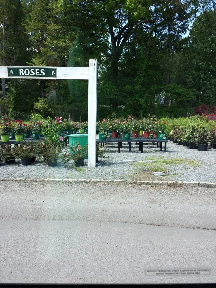 Affordable landscape design experts serving Stamford, CT - Designs By Lee