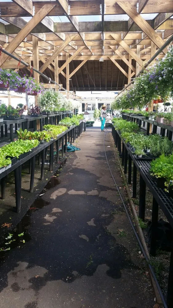 Top-rated landscape installation in Stamford, CT by Designs By Lee