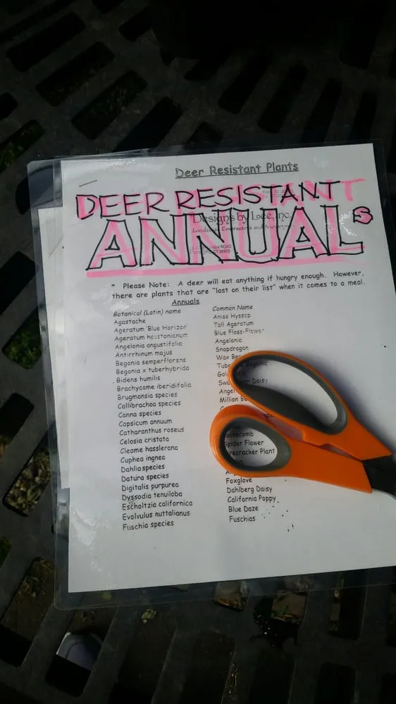 Trusted residential landscaping in Stamford, CT by Designs By Lee