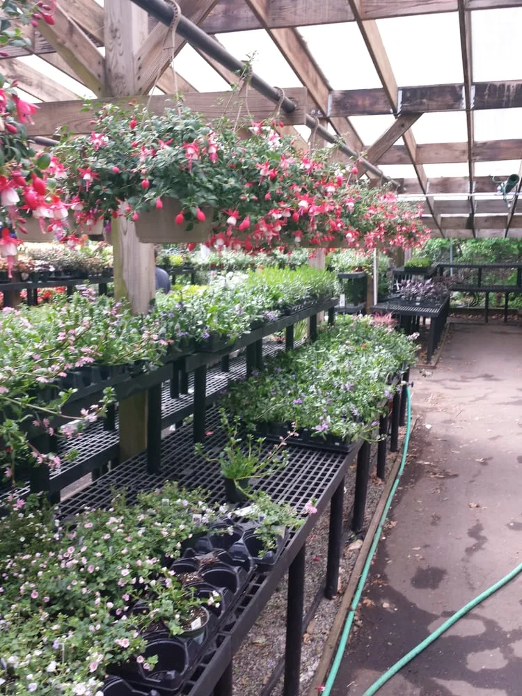 Affordable yard maintenance in Stamford, CT - Designs By Lee