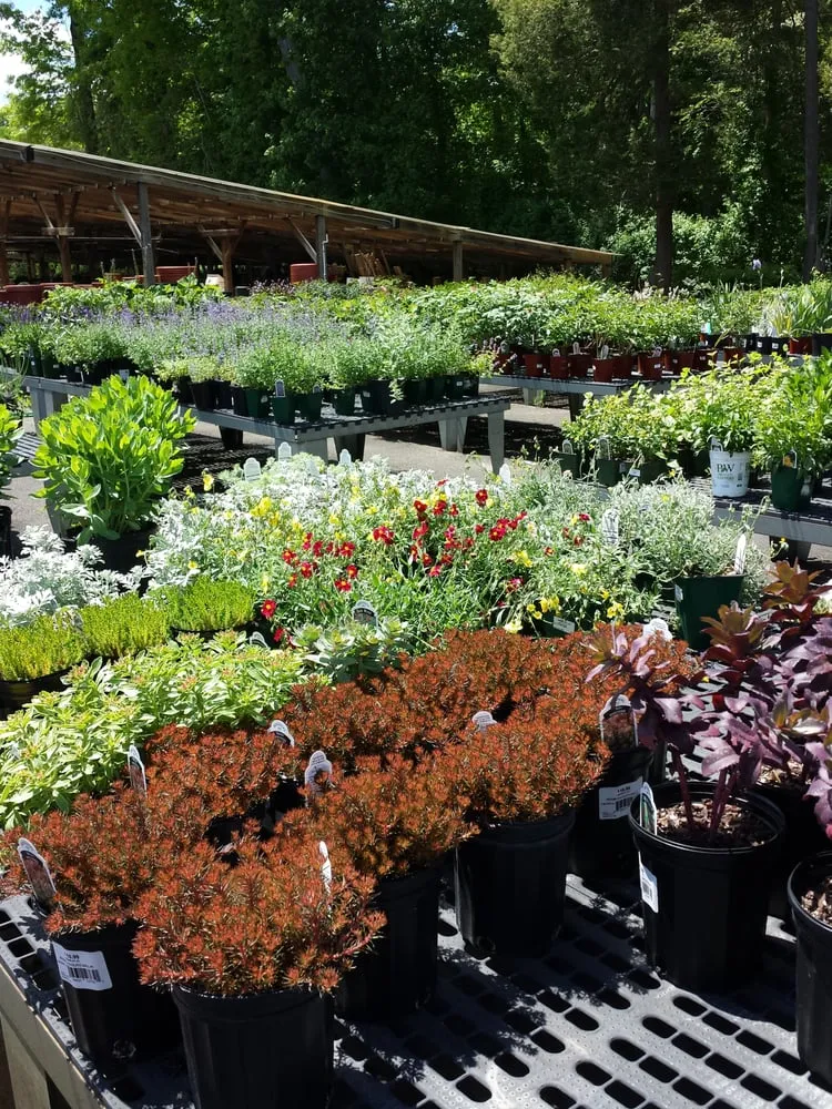 Local landscape installation in Stamford, CT by Designs By Lee