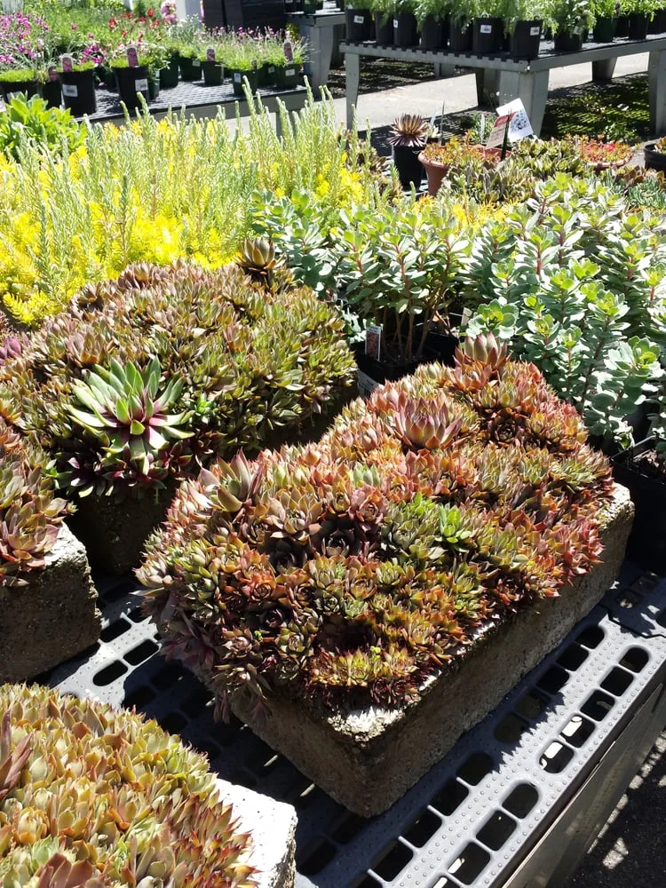 Affordable lawn mowing service in Stamford, CT by Designs By Lee