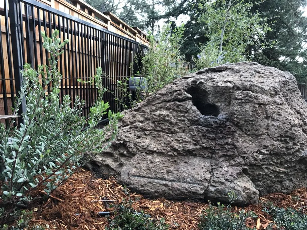 Expert lawn care service in Berkeley, CA - Designs With Nature