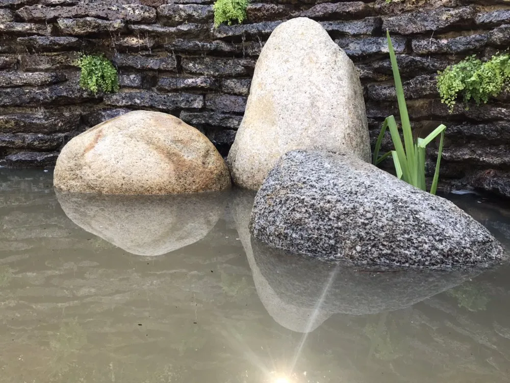 Expert landscaping services in Berkeley, CA by Designs With Nature