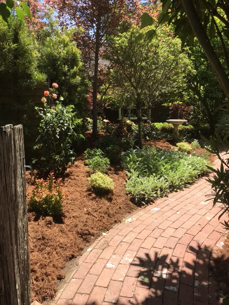 Professional lawn care service experts serving Berkeley, CA - Designs With Nature