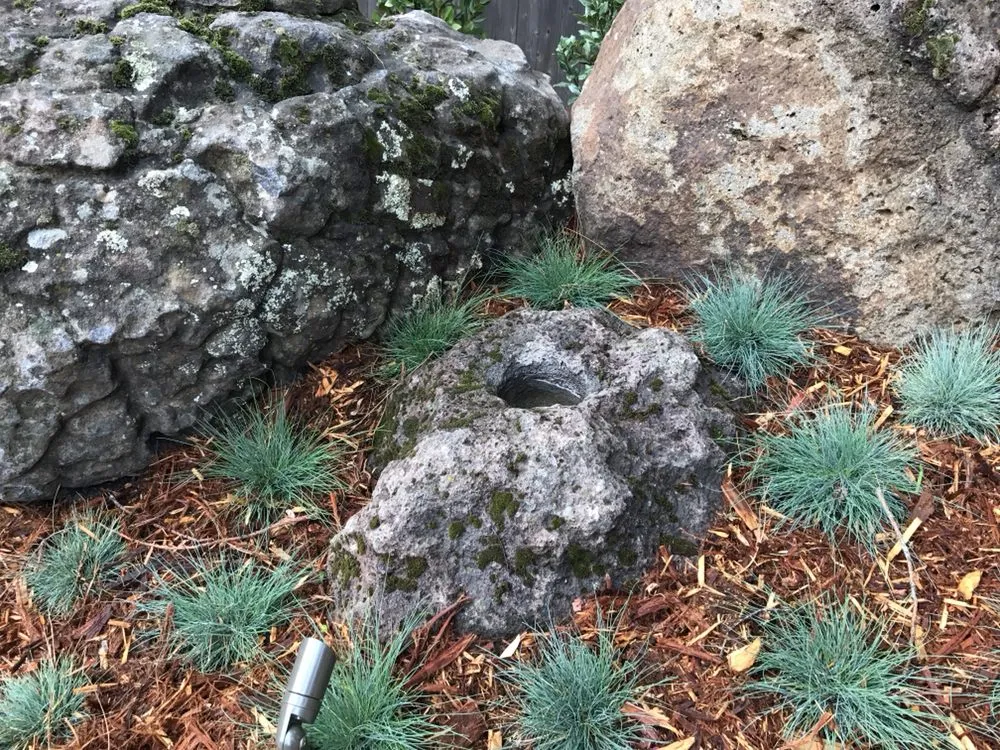 Trusted yard maintenance in Berkeley, CA by Designs With Nature