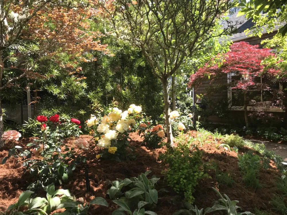 Reliable landscape installation for residential properties in Berkeley, CA by Designs With Nature