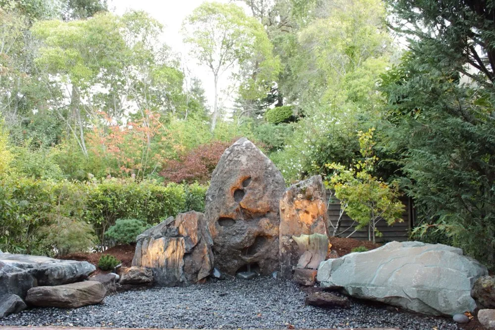Trusted landscaping services with custom design in Berkeley, CA by Designs With Nature