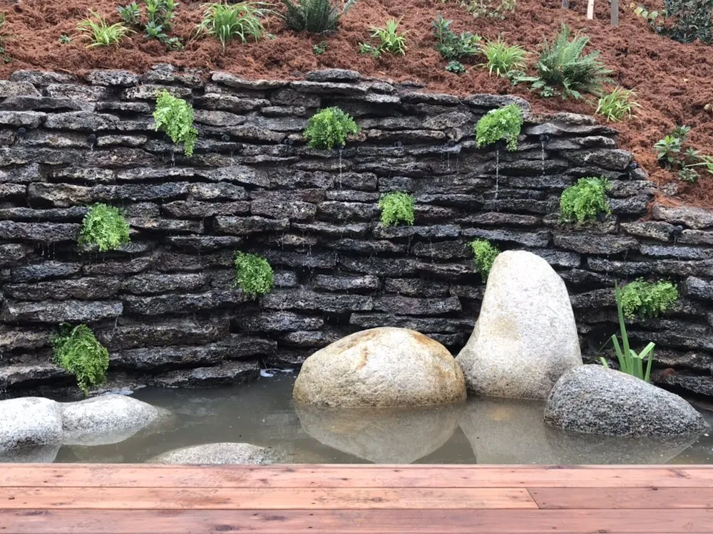 Professional residential landscaping for beautiful yards across Berkeley, CA - Designs With Nature