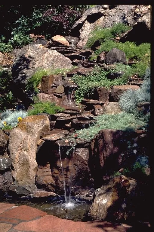 Custom yard maintenance in Berkeley, CA - Designs With Nature