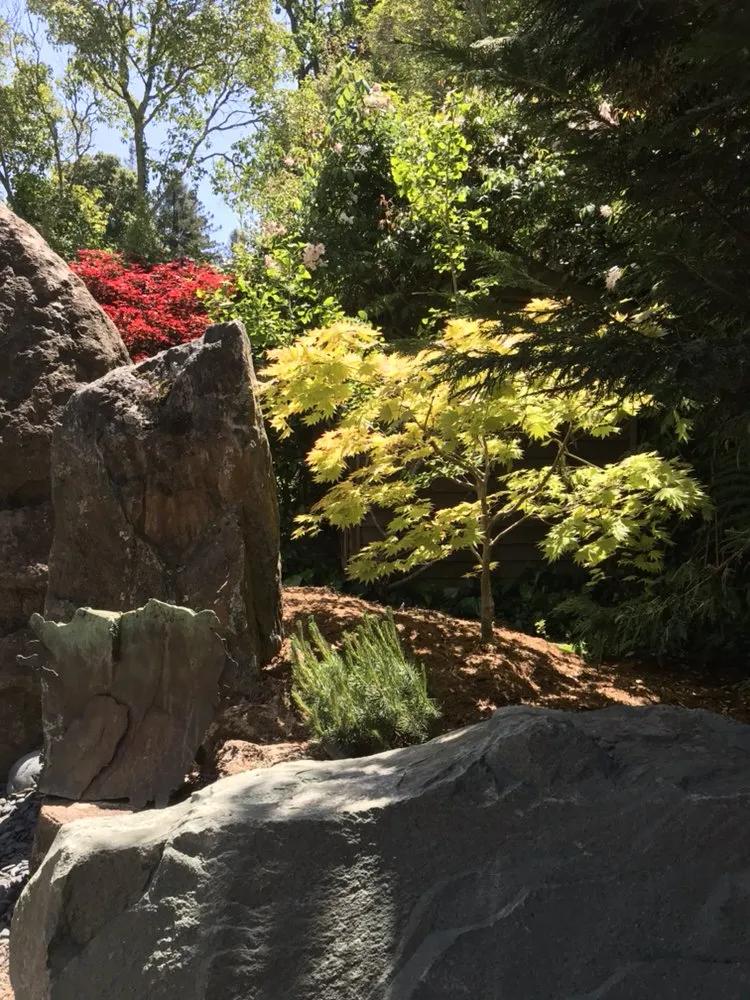 Top-rated residential landscaping in Berkeley, CA by Designs With Nature