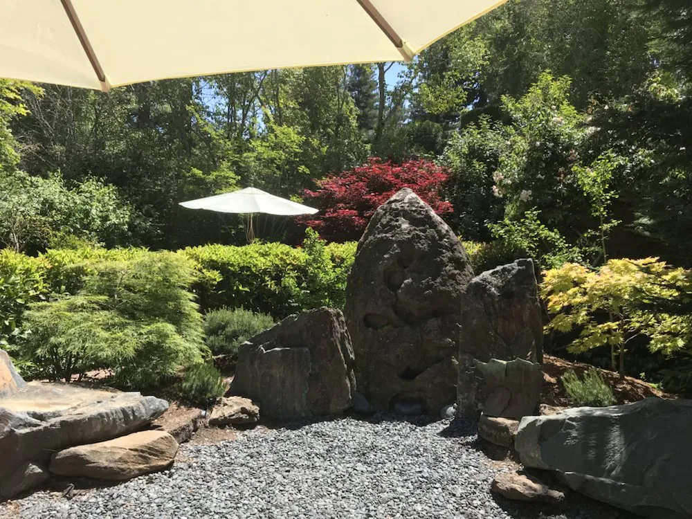 Top-rated landscape design experts serving Berkeley, CA - Designs With Nature