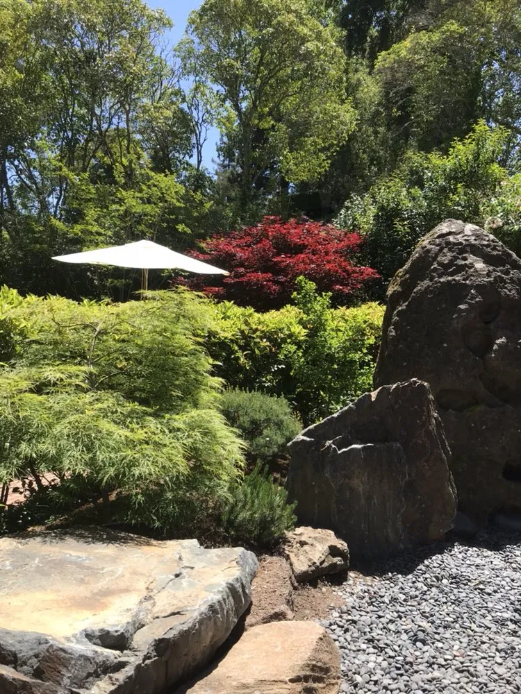 Local landscape installation for residential properties across Berkeley, CA - Designs With Nature