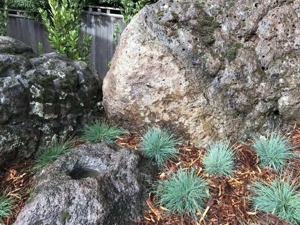 Reliable residential landscaping in Berkeley, CA - Designs With Nature