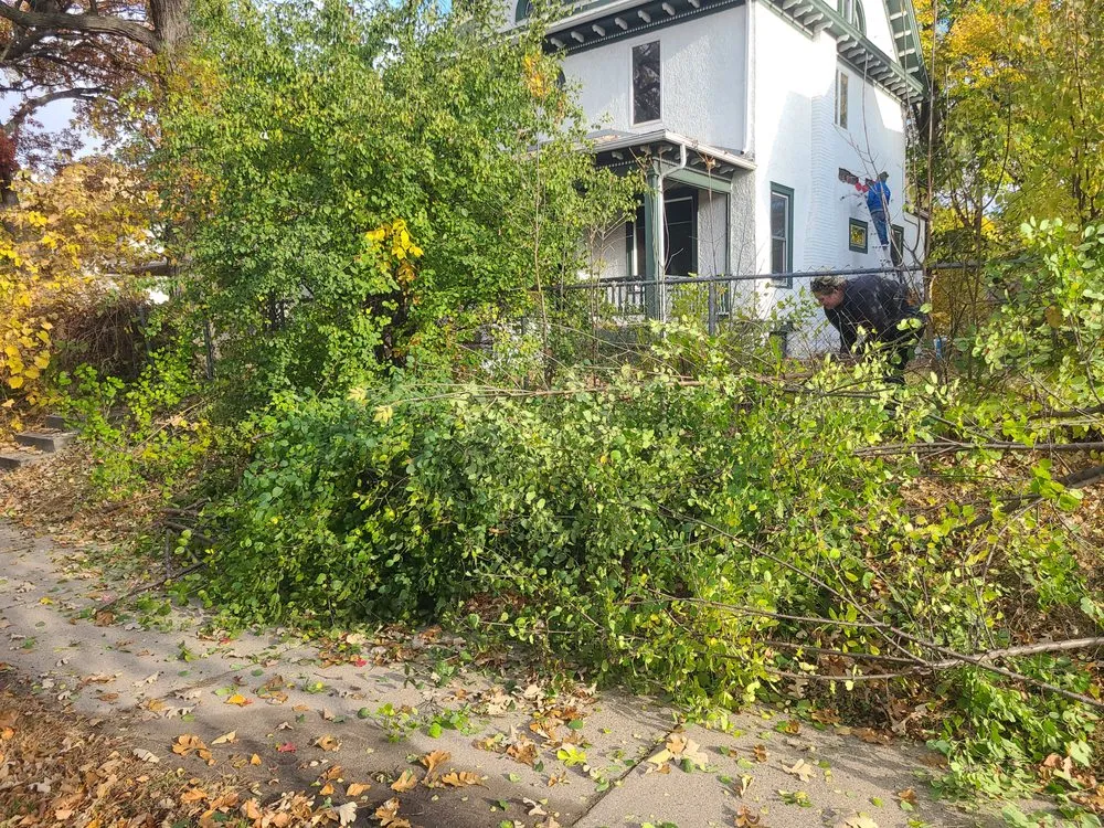 Expert residential landscaping experts serving Mounds View, MN - Designscape Creations