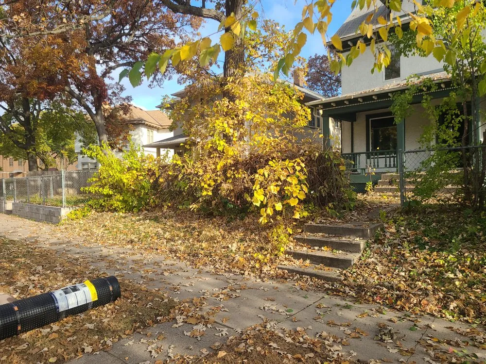 Professional lawn care service in Mounds View, MN by Designscape Creations