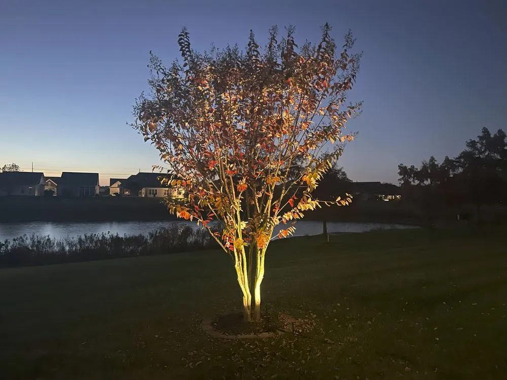 Professional lawn care service experts serving Bridgeville, DE - designscapes