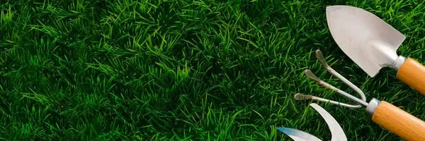 Designscapes Landscaping & Watergardening