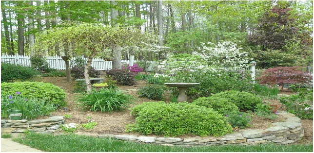Expert landscape design in Raleigh, NC by DesignScapes