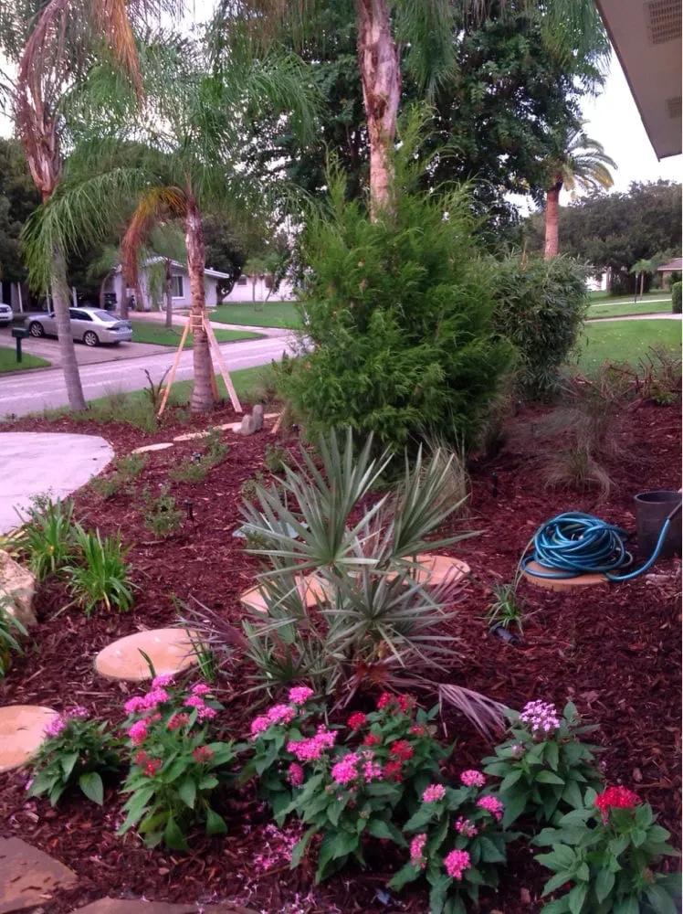 Affordable residential landscaping in Sarasota, FL - DesignScapes