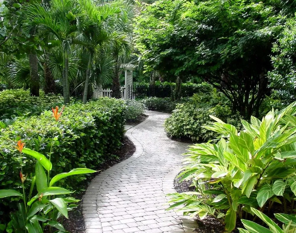Local landscape design for homes in Sarasota, FL by DesignScapes