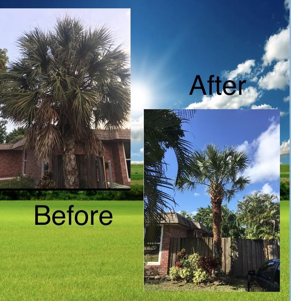 Top-rated landscape design for outdoor upgrades in Tamarac, FL by Desimini Landscaping