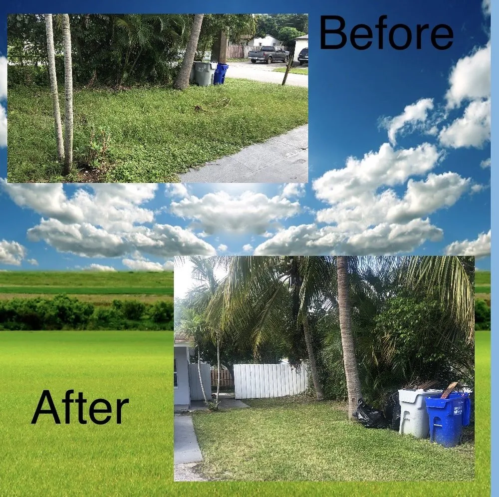 Reliable residential landscaping for homes across Tamarac, FL - Desimini Landscaping