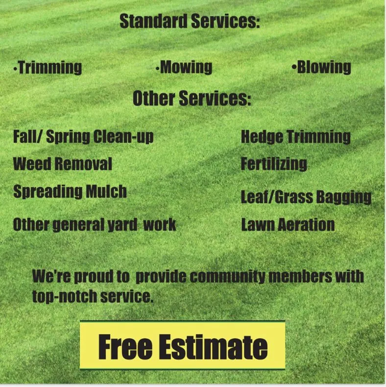 Top-rated landscape installation for outdoor upgrades across Tamarac, FL - Desimini Landscaping